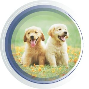 Pet and sport animal testing