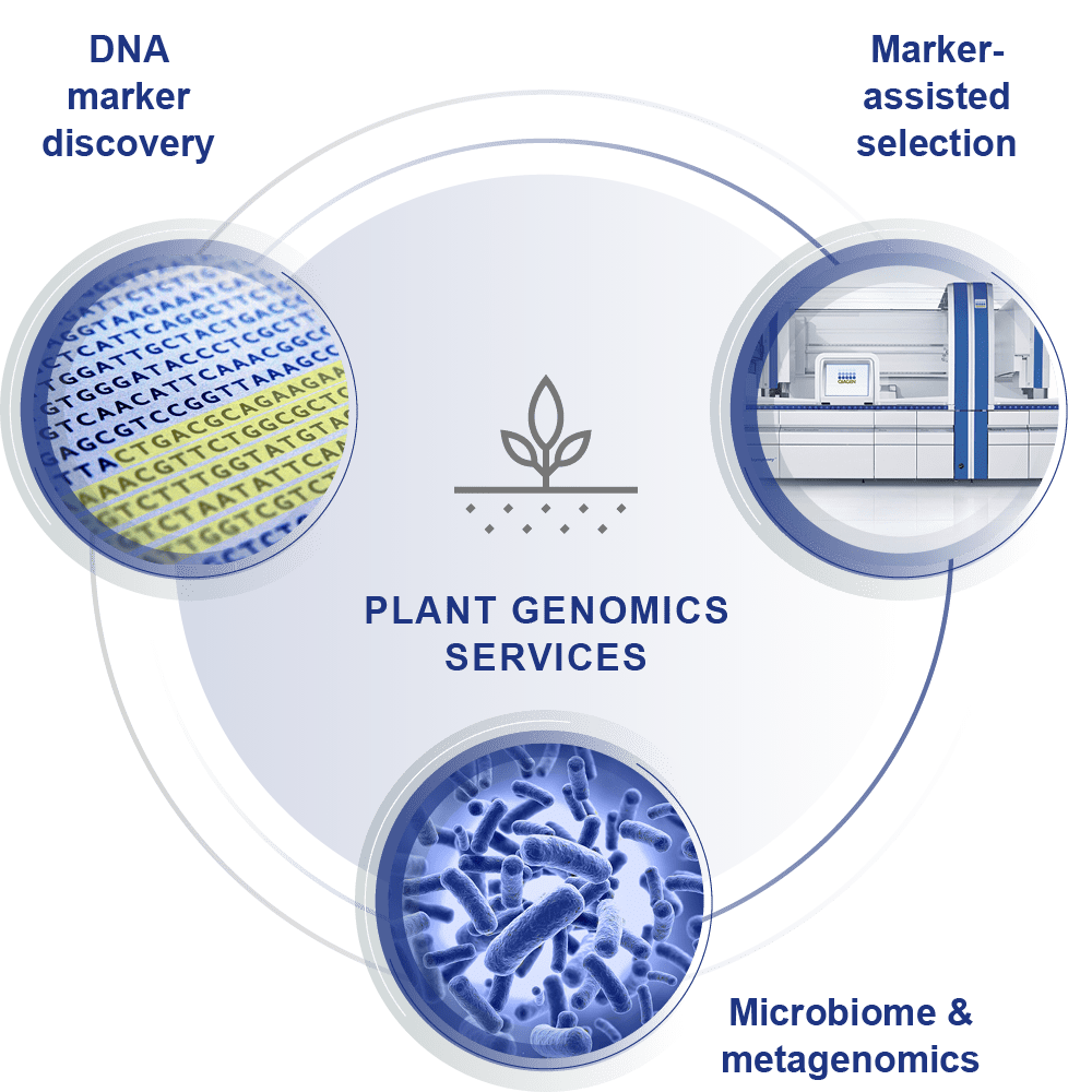 Plant genomics services