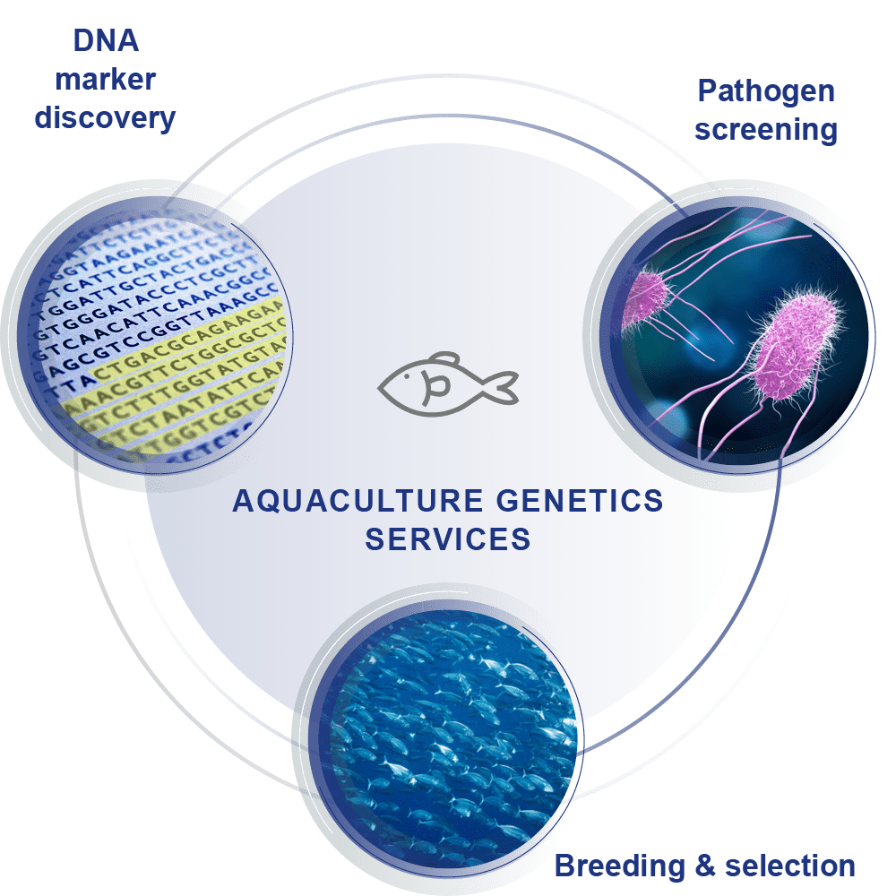 Aquaculture Genetics Services