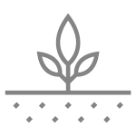 Solutions for plant breeder - plant genomics services