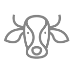 Solutions for animal breeder - animal genotyping services