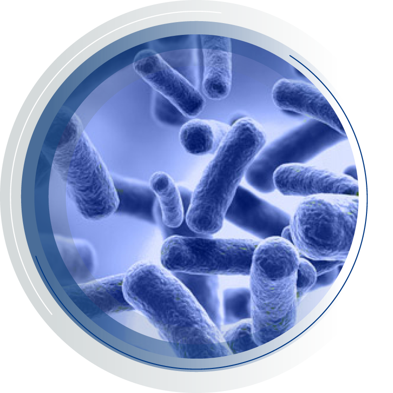 Multiple platforms and applications to study your microbiota