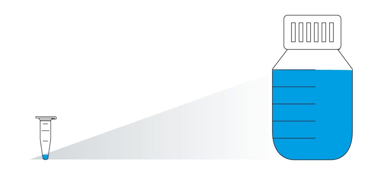 Diagnostic kit producer Highquality kit primer supplier