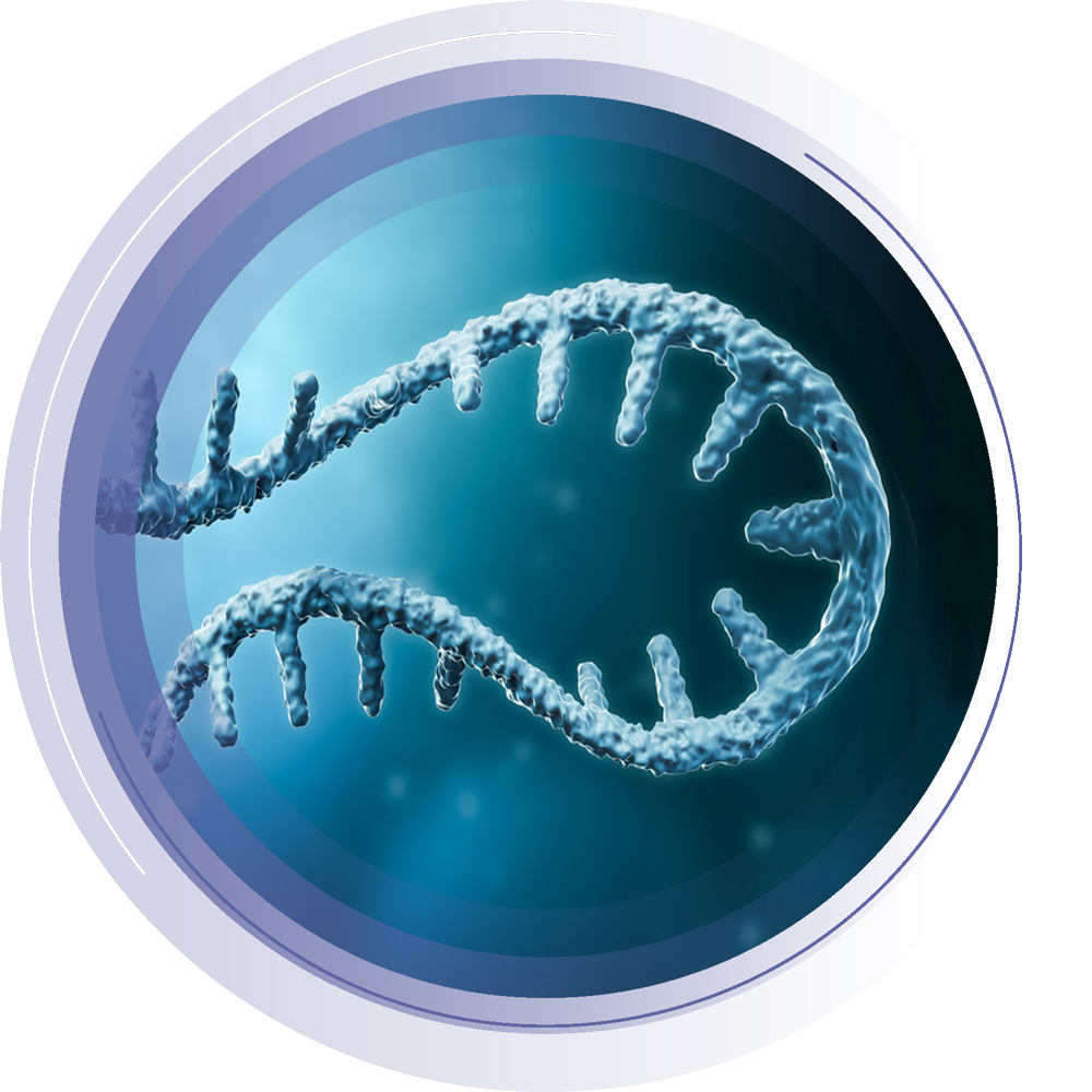 Share of the exome compared to the whole genome.