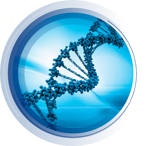 Share of the exome compared to the whole genome.